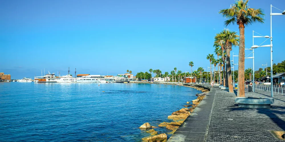 City_lp_paphos.webp